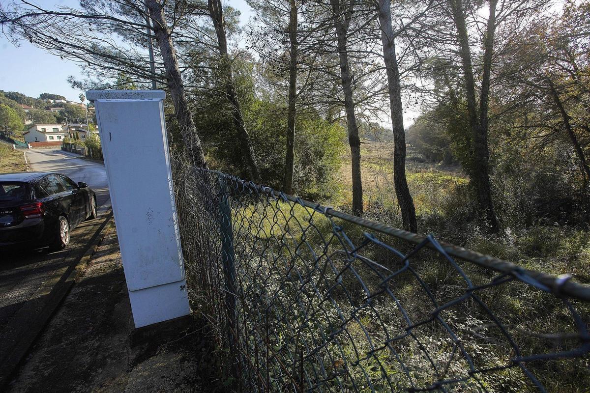 251217DDG_Marc Mart (228696825)