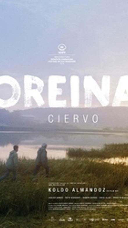 Oreina (Ciervo)