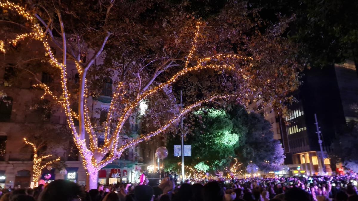 Lichterzauber-auf-Mallorca-So-war-das-Anknipsen-der-Weihnachtsbeleuchtung-in-Palma