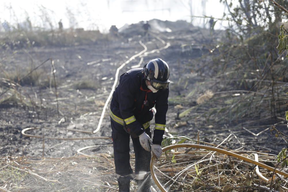 Sofocado un incendio que ha afectado a 100m2 en Puente Tocinos