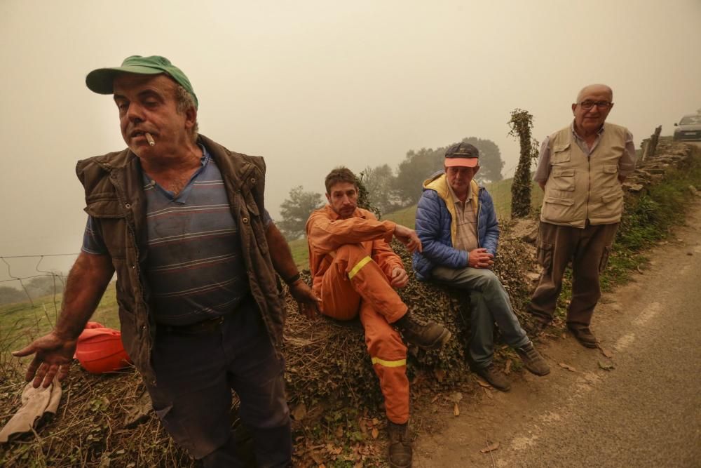 El suroccidente asturiano lucha contra las llamas