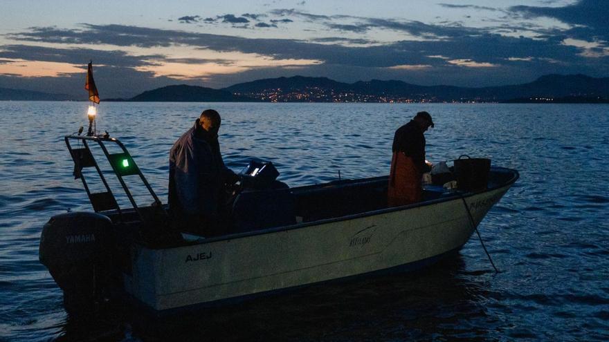 El ICES apuesta por incluir el impacto de la pesca de recreo en sus consejos