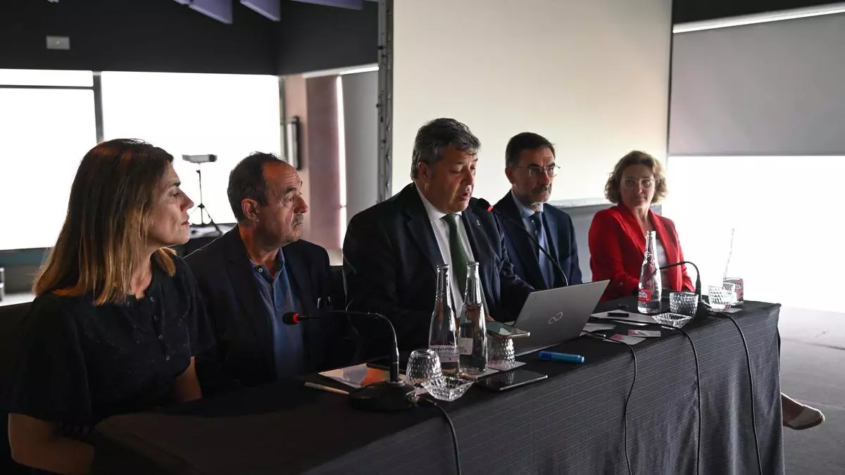 Los jueces decanos piden desde Alicante una moratoria para que los juzgados de Violencia asuman delitos sexuales
