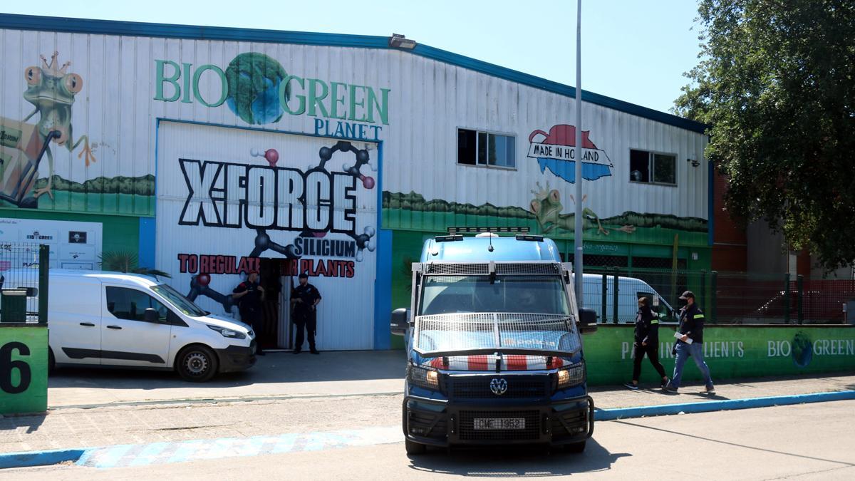 Desmantelada una organización que traficaba con marihuana desde una 'grow shop' en Girona