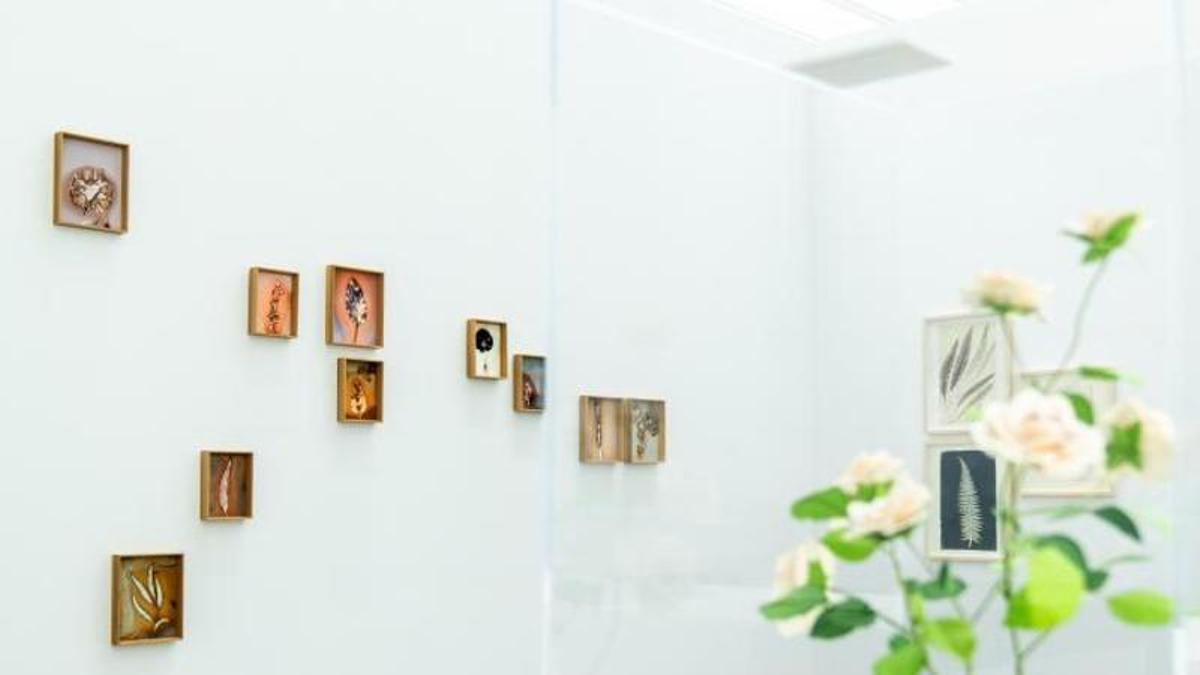 Exposición 'Ellas ilustran botánica' en el CDAN.