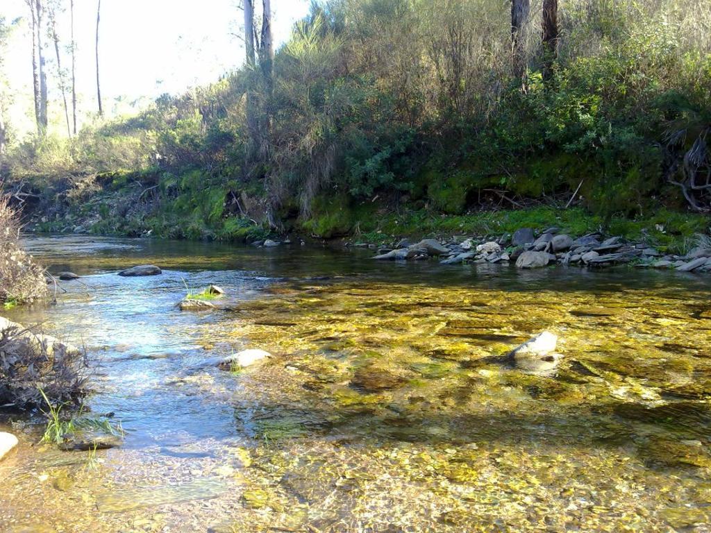 El paisaje natural de El Madroño es uno de sus atractivos principales.