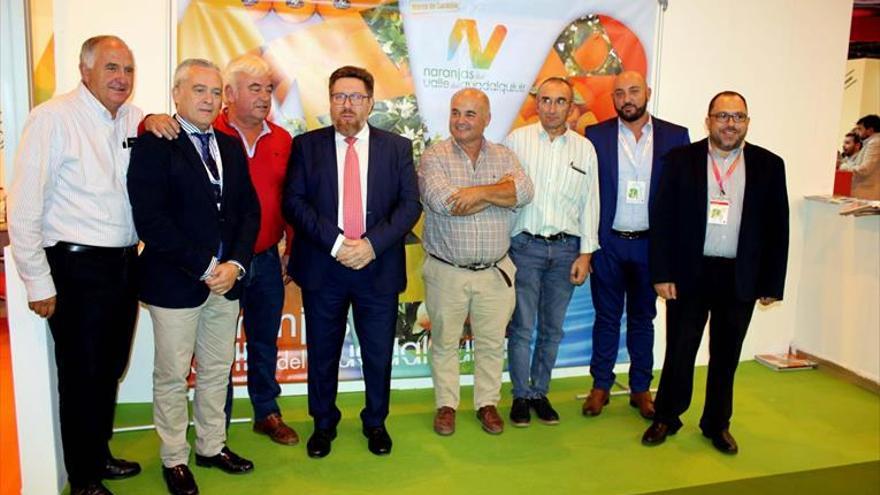 La producción de naranja dulce pasa en 20 años de 44.300 a 266.076 toneladas