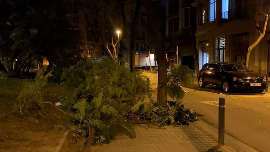 Alerta roja por el temporal: la borrasca Nils provoca la caída de árboles, motos en Barcelona