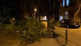Alerta roja por el temporal: la borrasca Nils provoca la caída de árboles y motos en Barcelona