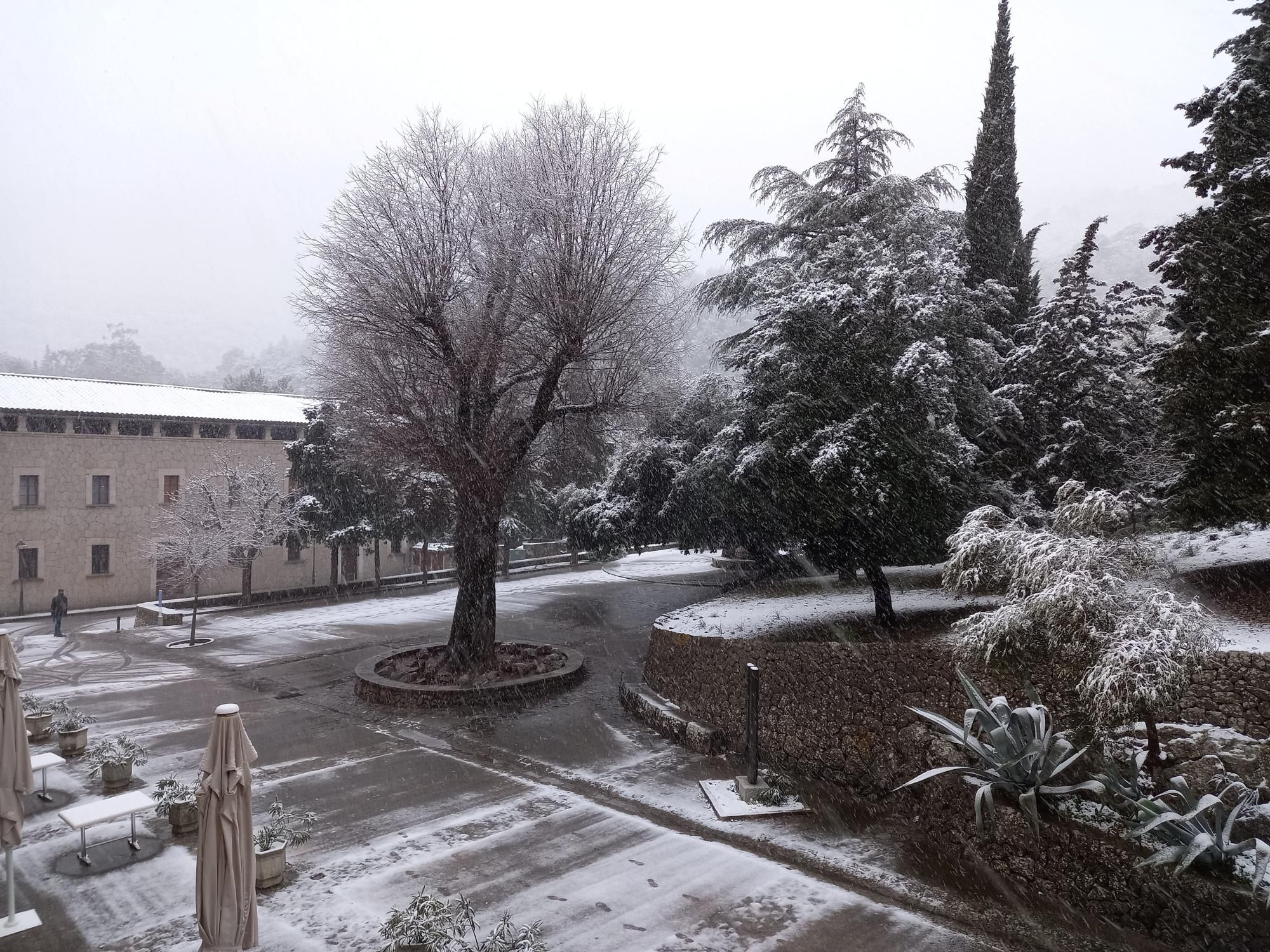 Schnee auf Mallorca – so schneit es in der Tramuntana