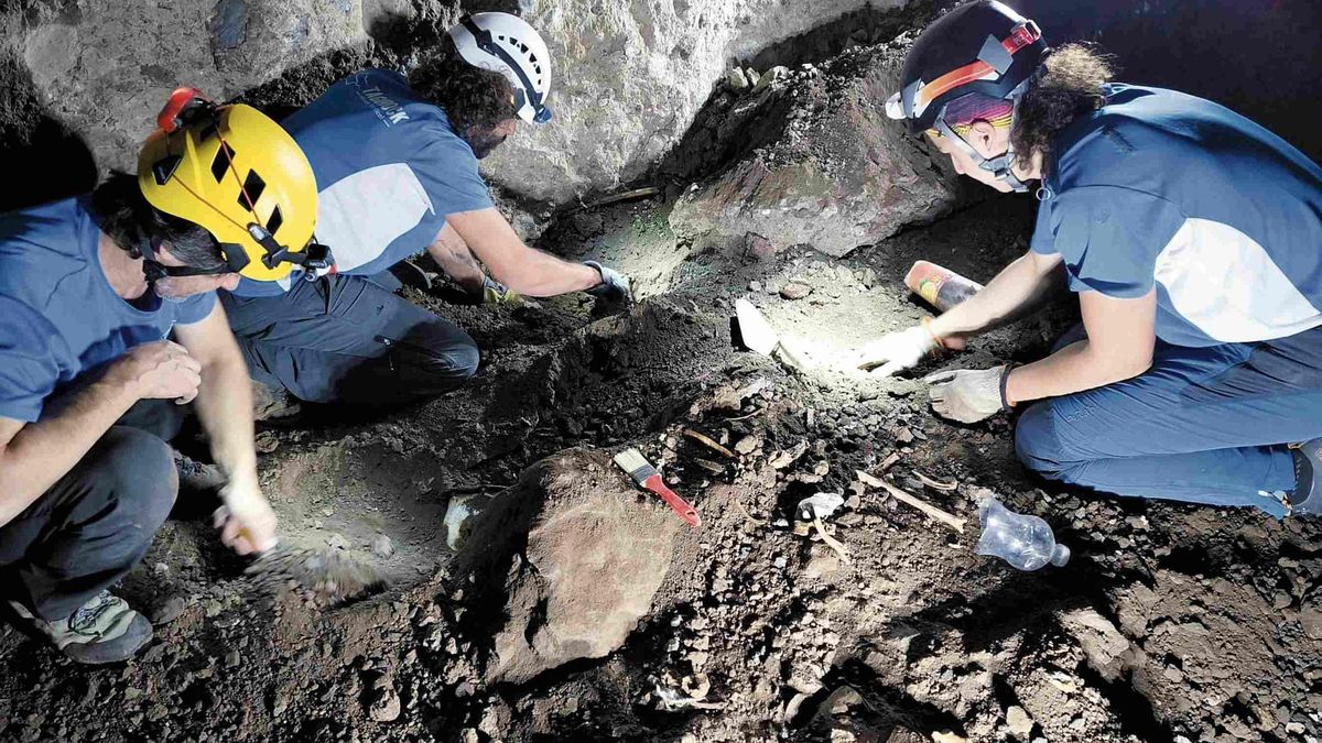 Los arqueólogos inspeccionan los restos hallados en la Sima de Jinámar, en Telde, el pasado octubre.