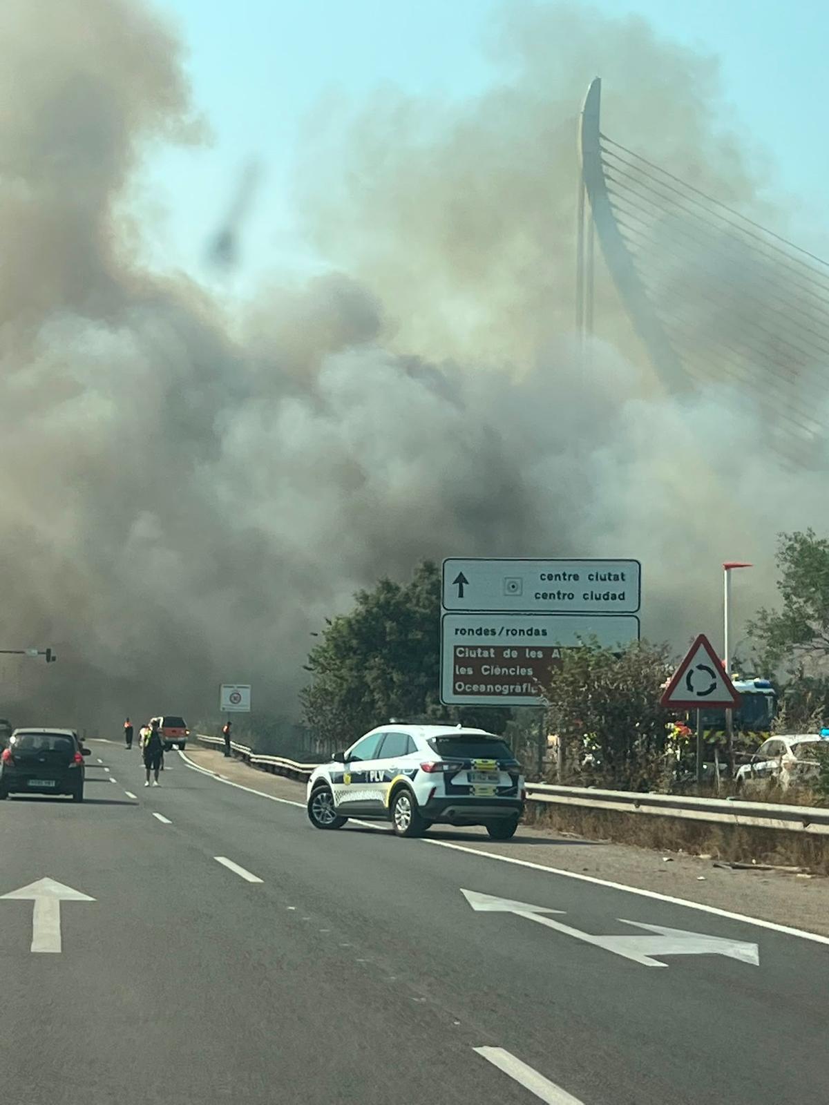 Un aparatoso incendio junto al Oceanogràfic y la autovía del Saler obliga a cortar el tráfico de entrada y salida a la ciudad