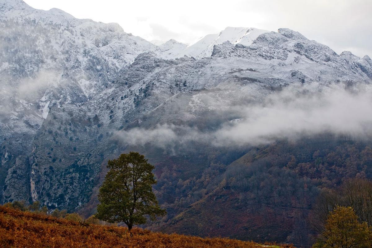 Parque Nacional de los Picos de Europa