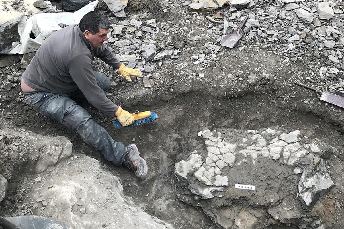 Los investigadores, durante la excavación