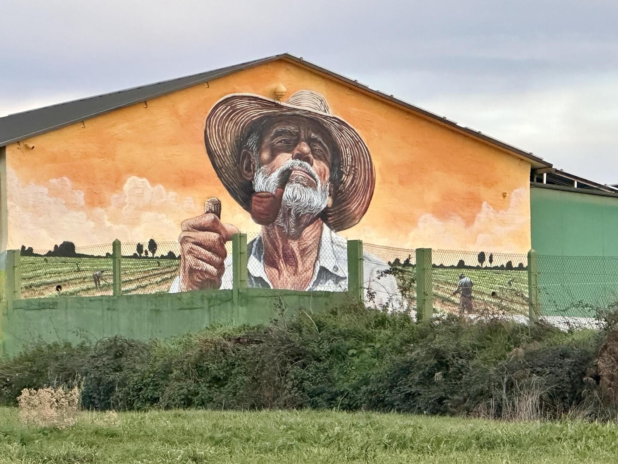 Este destino acumula más de 500 intervenciones de arte urbano