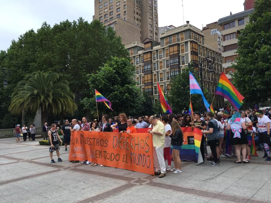 Manifestación del Orgullín del Norte.