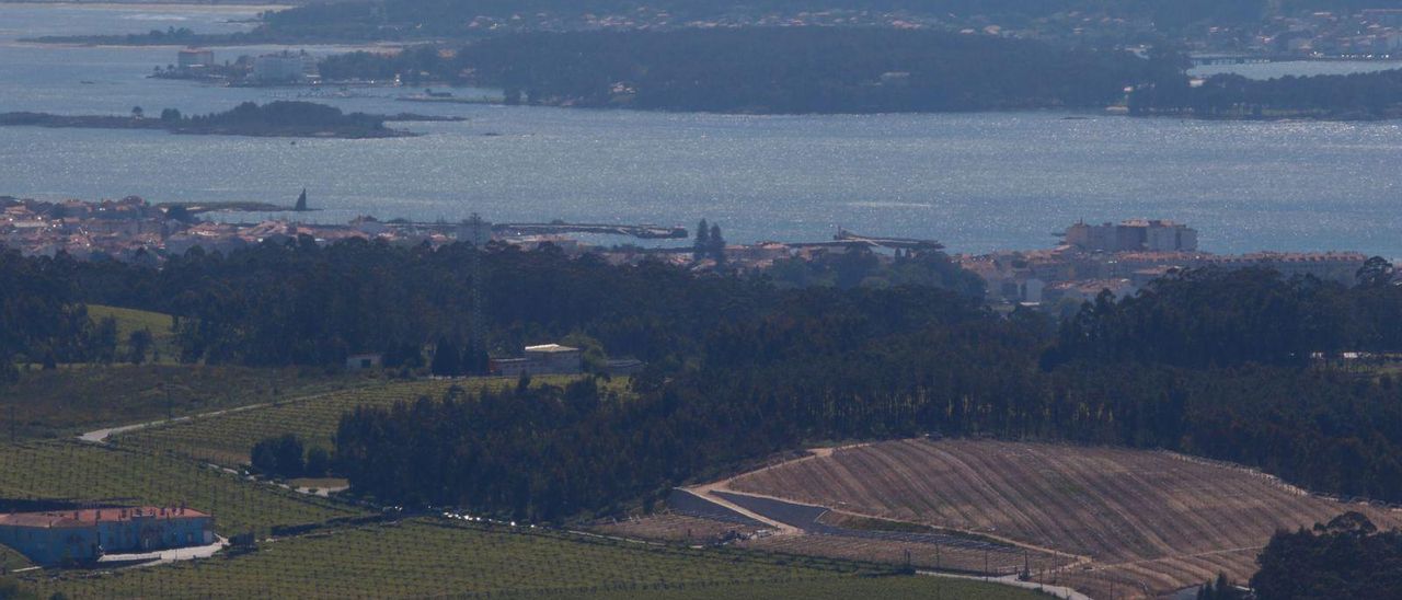Vista reciente tomada desde Lobeira en la que se aprecian dos grandes plantaciones de albariño, con la ría de Arousa al fondo. | // IÑAKI ABELLA