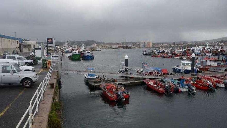 Flota amarrada en Cambados por el temporal. // Noé Parga