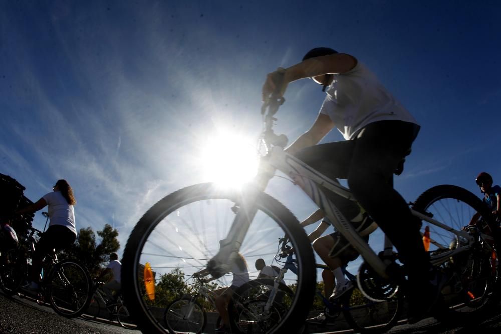 XX Día de la Bicicleta en Valencia