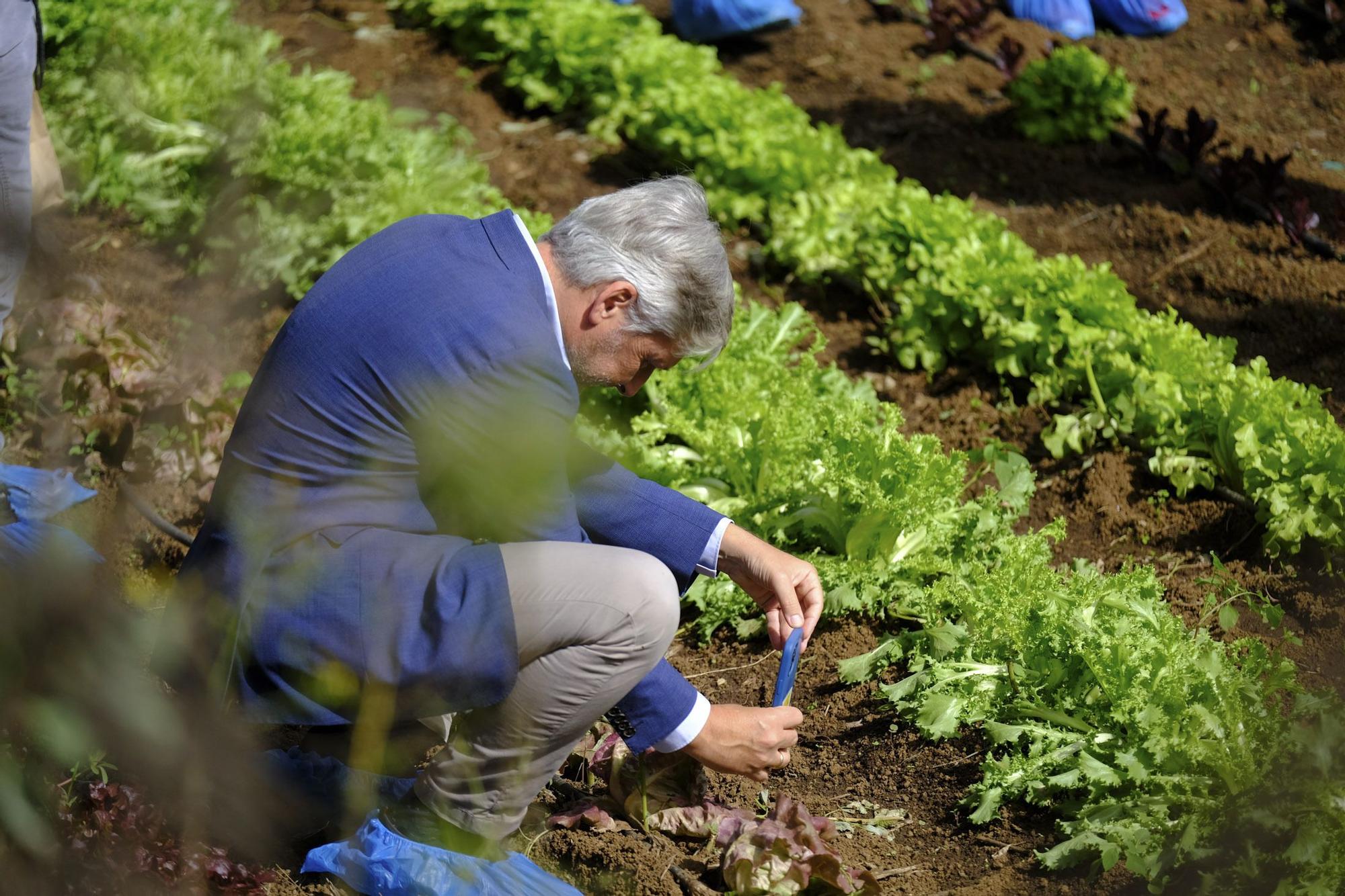 Visita a Ecohuerta Canaria