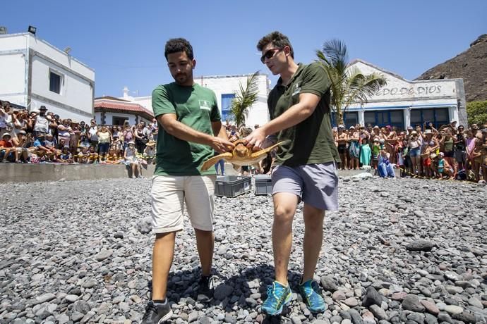 24.08.18. Agaete, Gran Canaria. BioAgaete, ...