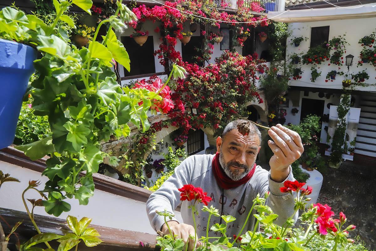 Pocos daños en los patios de Córdoba tras la borrasca Nelson