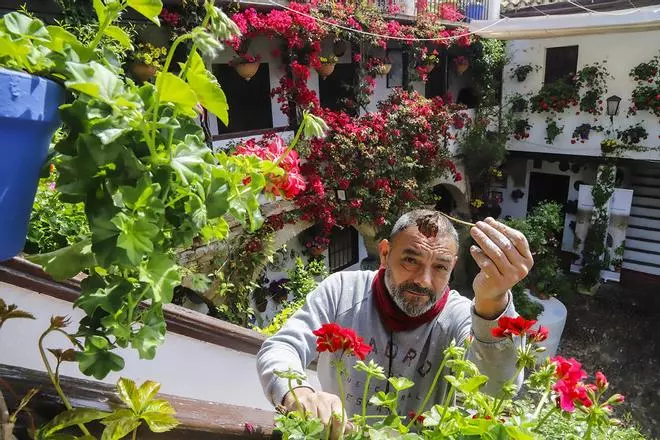 Los patios de Córdoba brillan tras las últimas lluvias