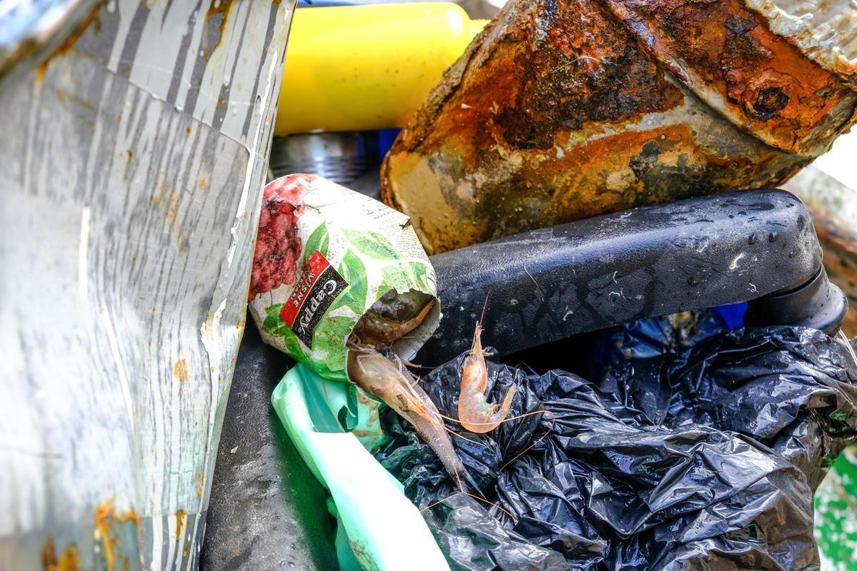 Restos de plásticos recogidos por un pesquero mientras faenaba en aguas de la provincia.