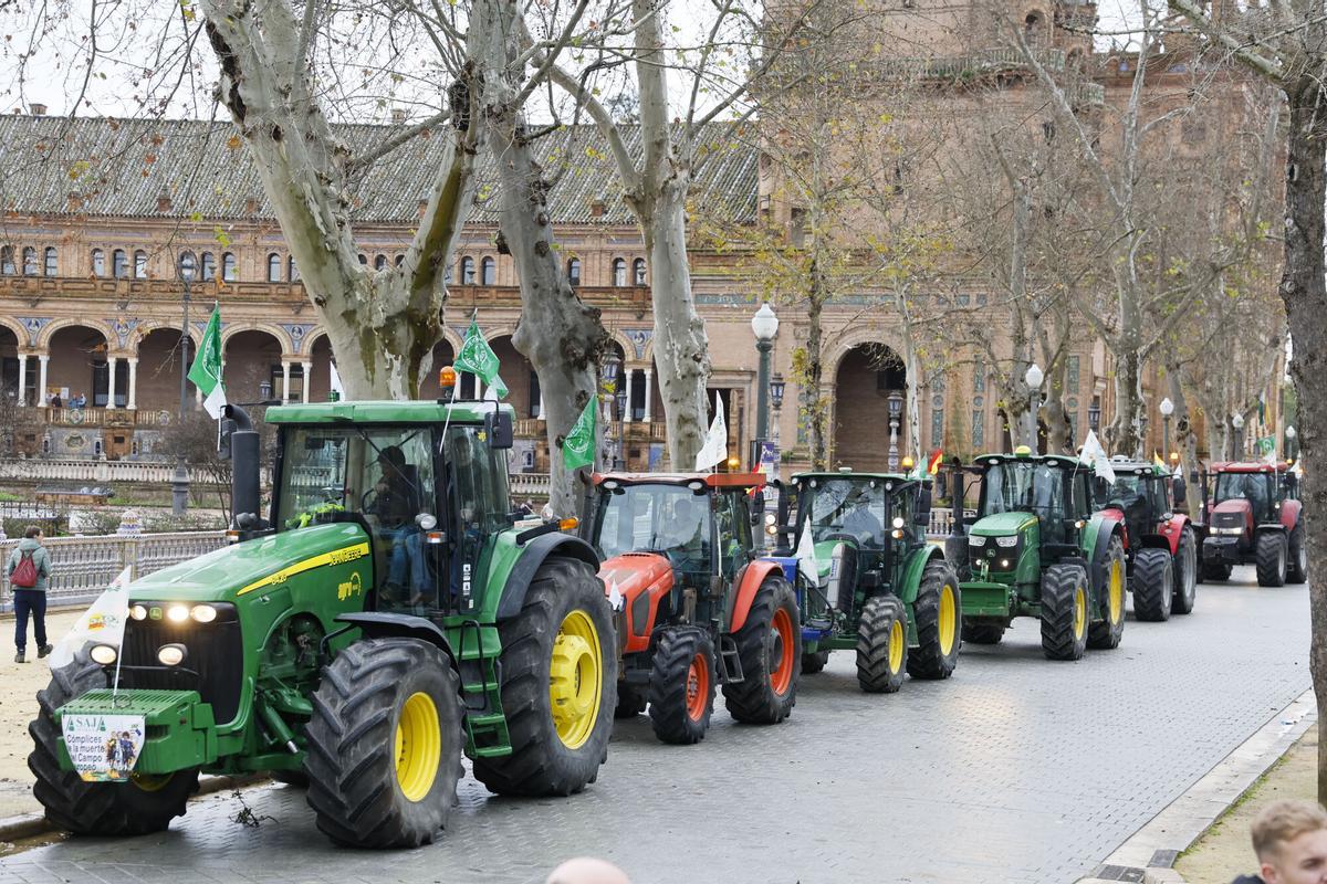 Varios tractores llegan a la Plaza de España de Sevilla, este martes. Varios tractores llegan a la Plaza de España de Sevilla, este martes.