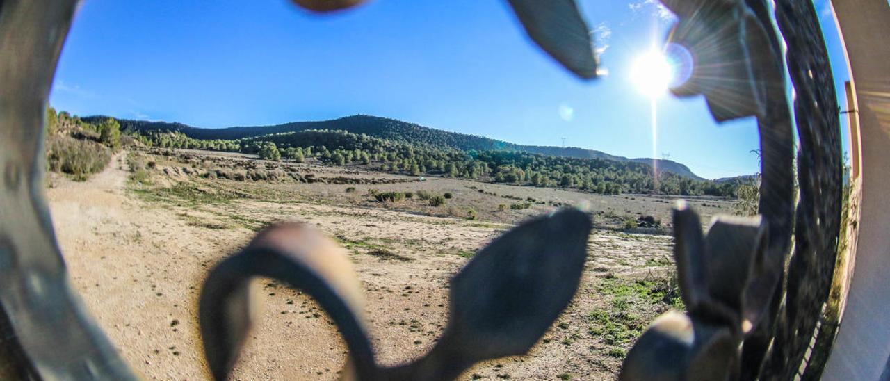 Imagen de la umbría de Sierra Escalona, junto a la carretera que une Torremendo con Murcia.