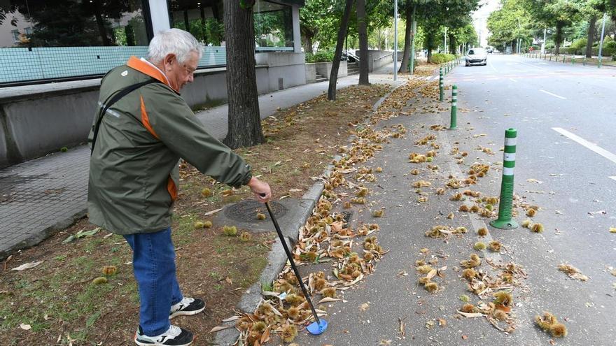 Magosto en A Coruña
