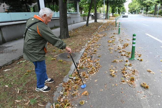 Magosto en A Coruña