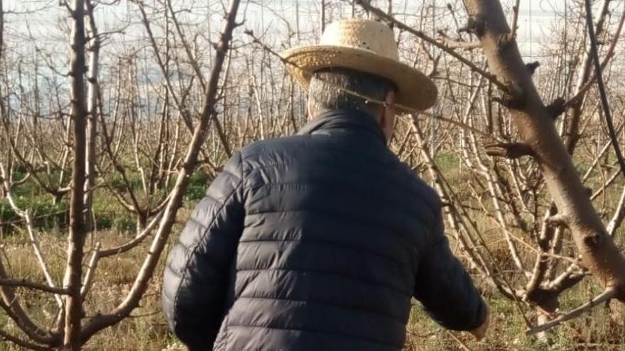 El agricultor de Cieza al que este individuo intentó estafar, en una foto de espaldas.