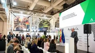 Andalucía apuesta por ampliar sus conexiones aéreas de largo recorrido y reforzar su posición en Europa