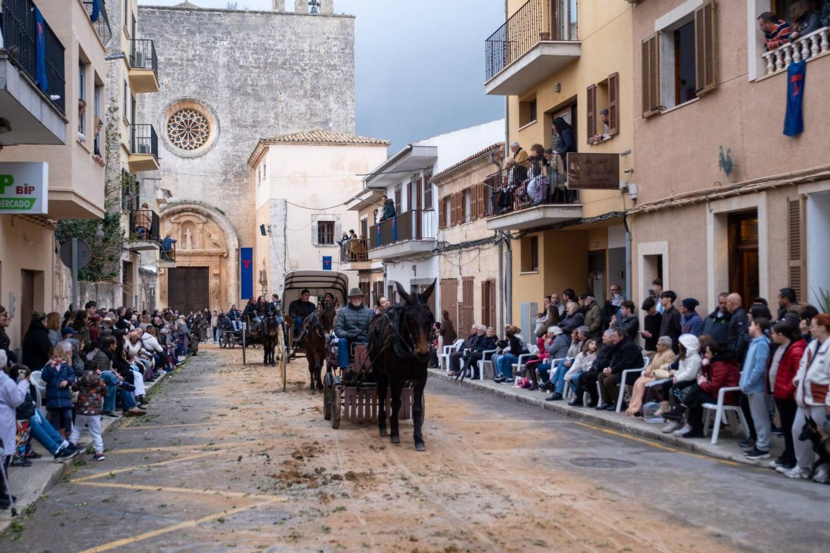 So eindrucksvoll waren die Tiersegnungen zu Sant Antoni 2026 in Muro