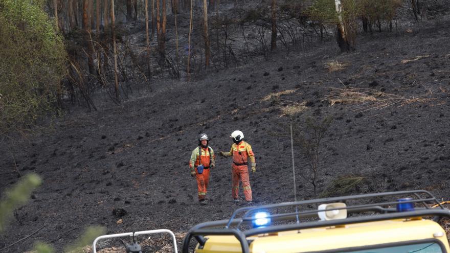 El viento complica la extinción de incendios en Llanera, Belmonte de Miranda y Piloña