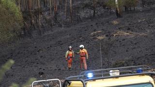 Los bomberos controlan el incendio del Pico Santu Firme, en Llanera, que arrasó parte del emblemático monte