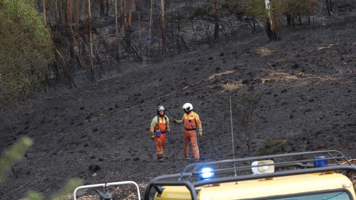Un incendio arrasa monte del Pico Santu Firme, en Llanera