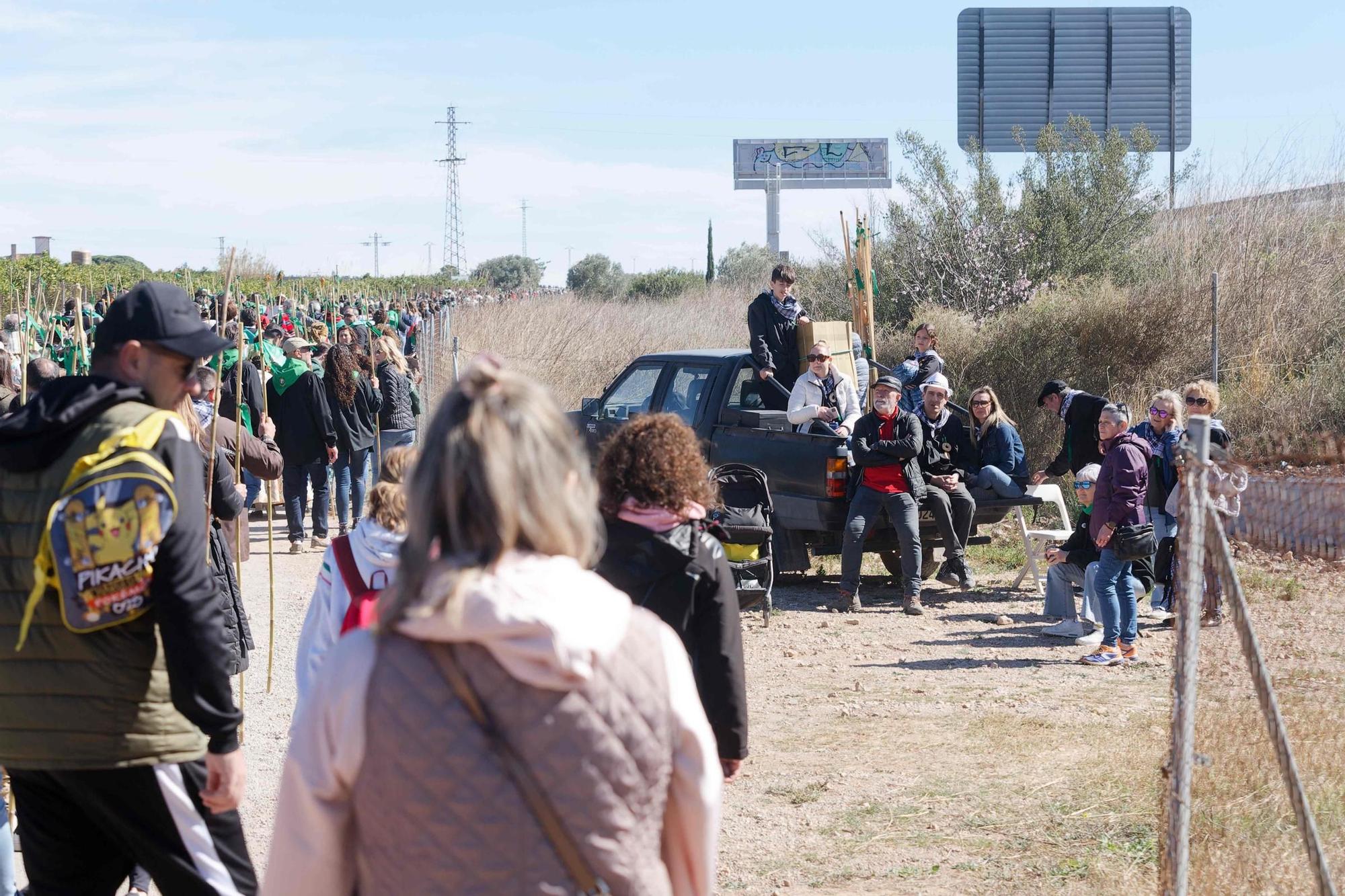 Los castellonenses rememoran sus orígenes con la Romeria