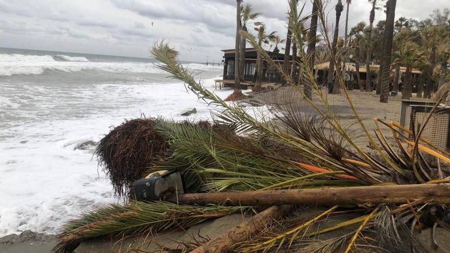 Andalucía ya tiene un plan de emergencia ante el riesgo de maremotos