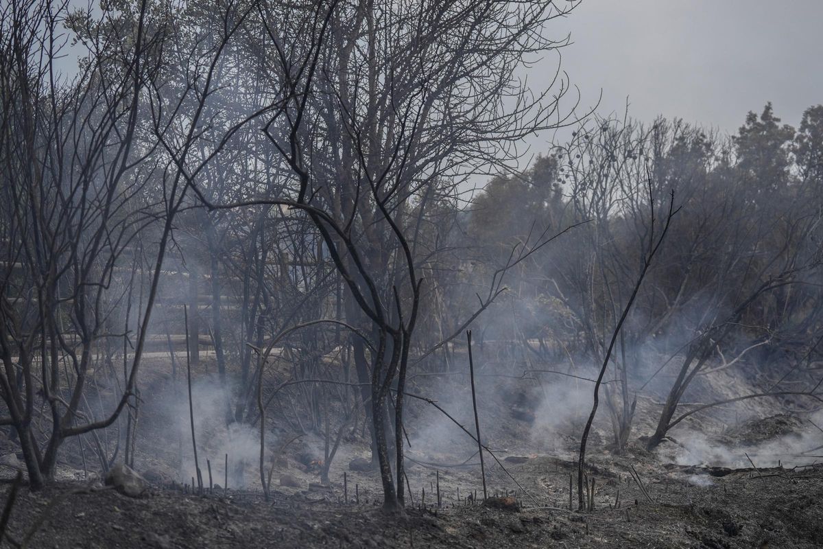 Catalunya surt de l’alerta màxima per risc d’incendis i reobre espais naturals Catalunya surt de l’alerta màxima per risc d’incendis i reobre espais naturals