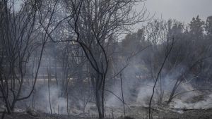 Catalunya surt de l’alerta màxima per risc d’incendis i reobre espais naturals
