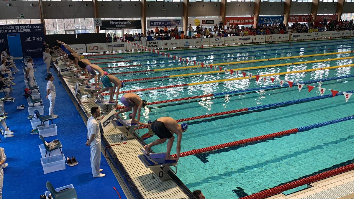 Los Campeonatos de España open y júnior de natación se están celebrando en Sabadell