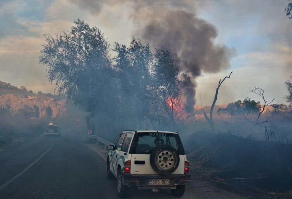 Un incendio en El Menjú devora parte de la vegetación del paraje