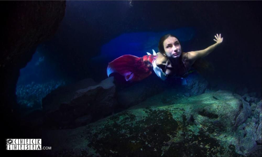 Una sirena en aguas de Tenerife