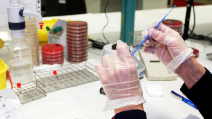 Una técnico de laboratorio analiza unas muestras de la Covid-19.