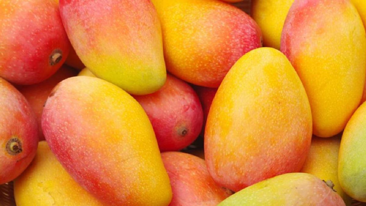 Mangos