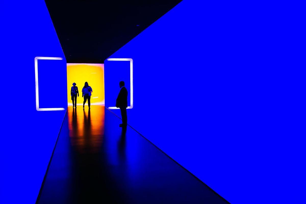 Museum of Fine Arts, Houston - Brown Auditorium Theater, Houston.