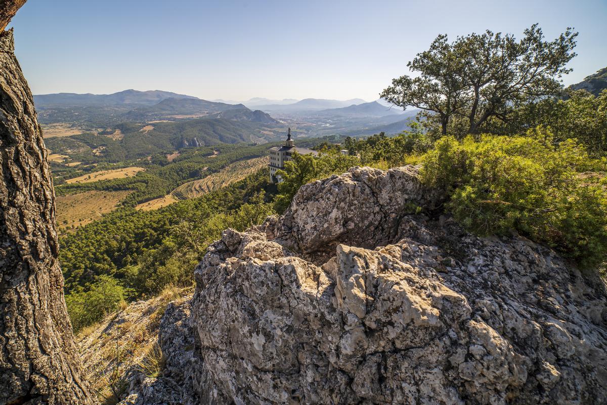Paraje natural de "Carrascal de la Fuente Roja" en Alcoi, Alicante