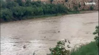 Directo: La zona cero de la dana, en alerta por lluvias e inundaciones